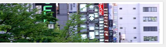 株式会社ヴァーテックスヘイロー
