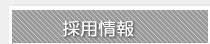採用情報